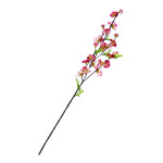 【2026年春】スプレイピーチブロッサム (No181-7)