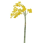 【2026年春】ミモザの束 (No181-13)