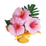 【2025年夏】ミニミニポットハイビスカス ピンク (No178-22_03)