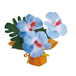 【2025年夏】ミニミニポットハイビスカス ブルー (No178-22_04)