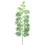 【2025年夏】バンブーツリー240cm (No178-13_03)