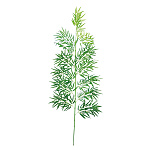 【2025年夏】バンブーツリー210cm (No178-13_02)