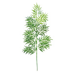 【2025年夏】バンブーツリー180cm (No178-13_01)