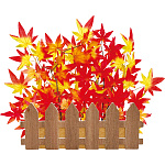 【2025年秋商品】アザヤカ紅葉垣根(No179-1705)