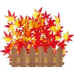 【2025年秋商品】アザヤカ紅葉垣根(No179-1705)
