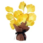 【2025年秋商品】ミニミニポットイチョウ(No179-1703)