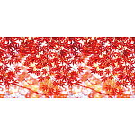 【2025年秋商品】ディスプレイシート モミジ(写真柄)(No179-0809)