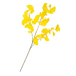 【2025年秋商品】イチョウ(No179-1504)