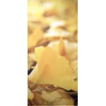 【2025年秋商品】タペストリー イチョウ(No179-0511)