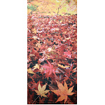 【2025年秋商品】タペストリー 紅葉ジュウタン(No179-0510)