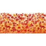 【2025年秋商品】ディスプレイシート モミジ(No179-0808)