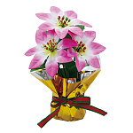 【2024年商品】ポインセチアミニポットピンク (No.043068)