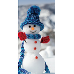 【2024年商品】タペストリー(防炎)スノーマン (No.045784)