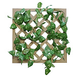 【2025年夏】グリーンラティス ポトス (No178-11_06)