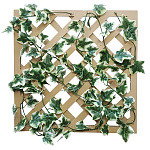 【2025年夏】グリーンラティス オランダアイビー (No178-11_07)