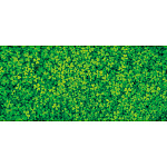 【2025年夏】ディスプレイシートクローバー (No178-06_14)