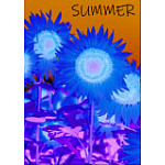 【2025年夏】A1ポスター 夏用A (No178-02_03)