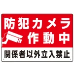 防犯カメラ作動中 関係者以外立入禁止 A オリジナル プレート看板 W450×H300 エコユニボード