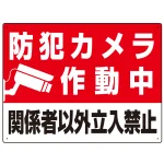 防犯カメラ作動中 関係者以外立入禁止 A オリジナル プレート看板