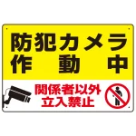防犯カメラ作動中 関係者以外立入禁止 C オリジナル プレート看板 W450×H300 マグネットシート