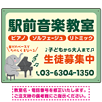 音楽教室 ゾウさんイラストデザイン プレート看板 グリーン W600×H450 エコユニボード (SP-SMD455A-60x45U)