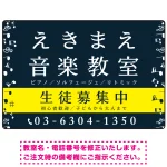 音楽教室 左右音符ラインデザイン プレート看板