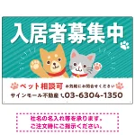 可愛らしい犬猫イラストで入居者募集中をアピールできる不動産向けプレート看板 グリーン W900×H600 マグネットシート(SP-SMD738C-90x60M)