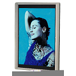 FBS-A3 (ファインブライトスリムA3) 面板セット