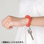 カールバンド