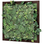 グリーンウォールパネル　木目フレームA カラー:ブラウン (58987***)