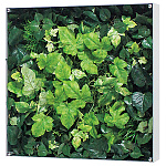 グリーンウォールパネル　全面グリーンタイプA サイズ:W450×D88×H450 (58989***)