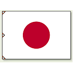 国旗旗 (大) (372-10)