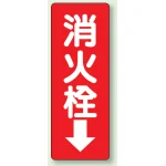 消化用品方向表示標識 240×80