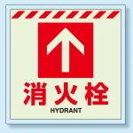 消火用品表示 蓄光ステッカー 床面貼付タイプ