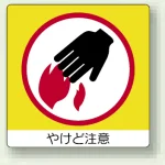 ミニステッカー(12枚1組) 50×50
