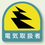 作業管理関係ステッカー 2枚1組 電気取扱者 (851-51)