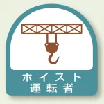 作業管理関係ステッカー 2枚1組 ホイスト運転者 (851-65)