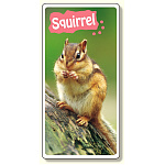 フォトジョイシール ファニーカンパニー リス (915-45)