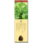 シールギャラリー 樹の博物館 ぶな (916-53)