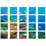 仮囲い用マルチシート 20枚1セット 海の仲間たち (917-09)