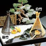 雪囲 白竹(W25165)