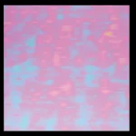 オーロラシート(100枚入) 10cm(W26120)