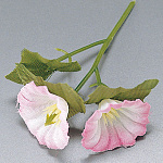 プチフラワー (200個入) 朝顔(W63852)