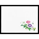 遠赤保鮮紙(小)(100枚入) 朝顔(W64562)