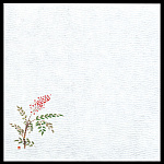 5寸グルメ敷紙 (100枚入) 南天(W64756)