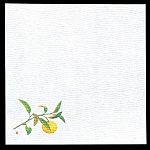 5寸グルメ敷紙 (100枚入) 柚子(W64778)