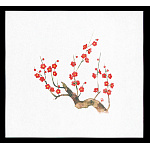 遠赤保鮮紙(大)(100枚入) 梅(W64881)