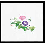 遠赤保鮮紙(大)(100枚入) 朝顔(W64884)