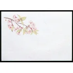 尺1お手元まっと 四季 (100枚入) 桜(W64951)