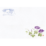 尺1お手元まっと 花景色 (100枚入) 朝顔(W64964)